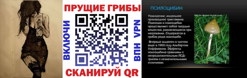 Псилоцибиновые грибы GOLDEN TEACHER blacksprut ссылки Данков