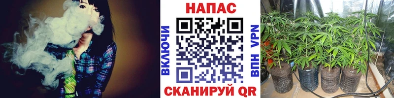 купить наркотик  нарко площадка клад  Бошки Шишки Bruce Banner  Данков 